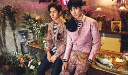 最新电视剧爆料,剧透来袭！最新热门电视剧剧情大揭秘